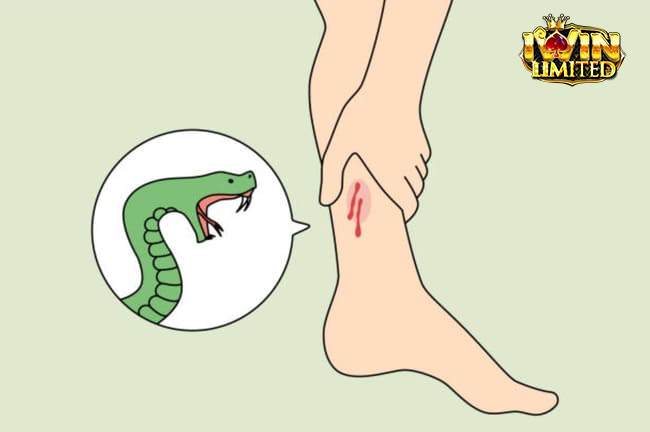 Rắn màu sắc khác nhau cắn chân phải