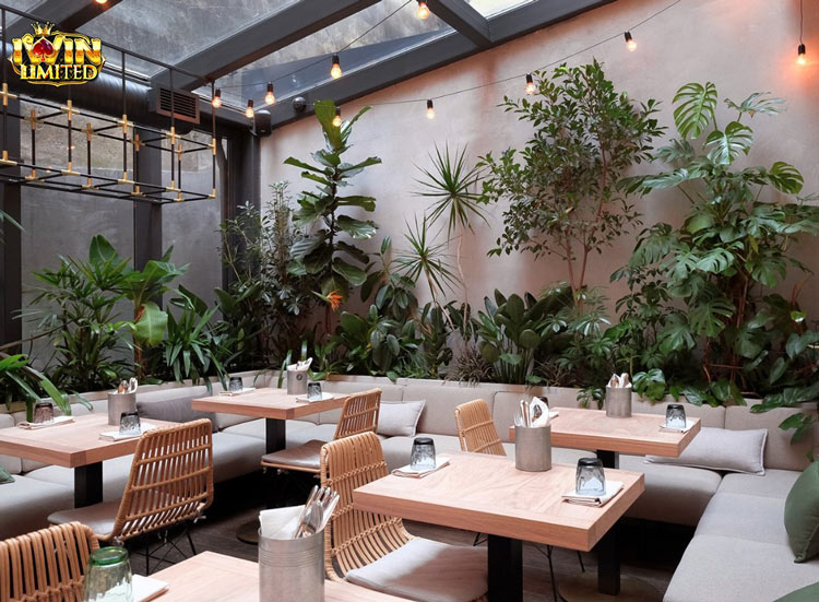 Lofita Cafe